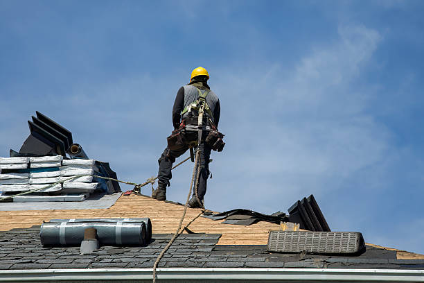 Professional Roof Replacement technician working in Alexander, ND